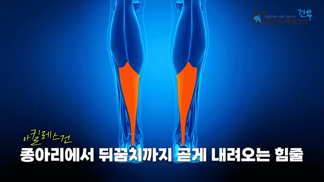 be6dafd874663bc1fc9cdd6af659aedc_1775794714_3531.gif