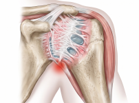 서울건우정형외과