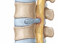 서울건우정형외과