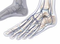 서울건우정형외과